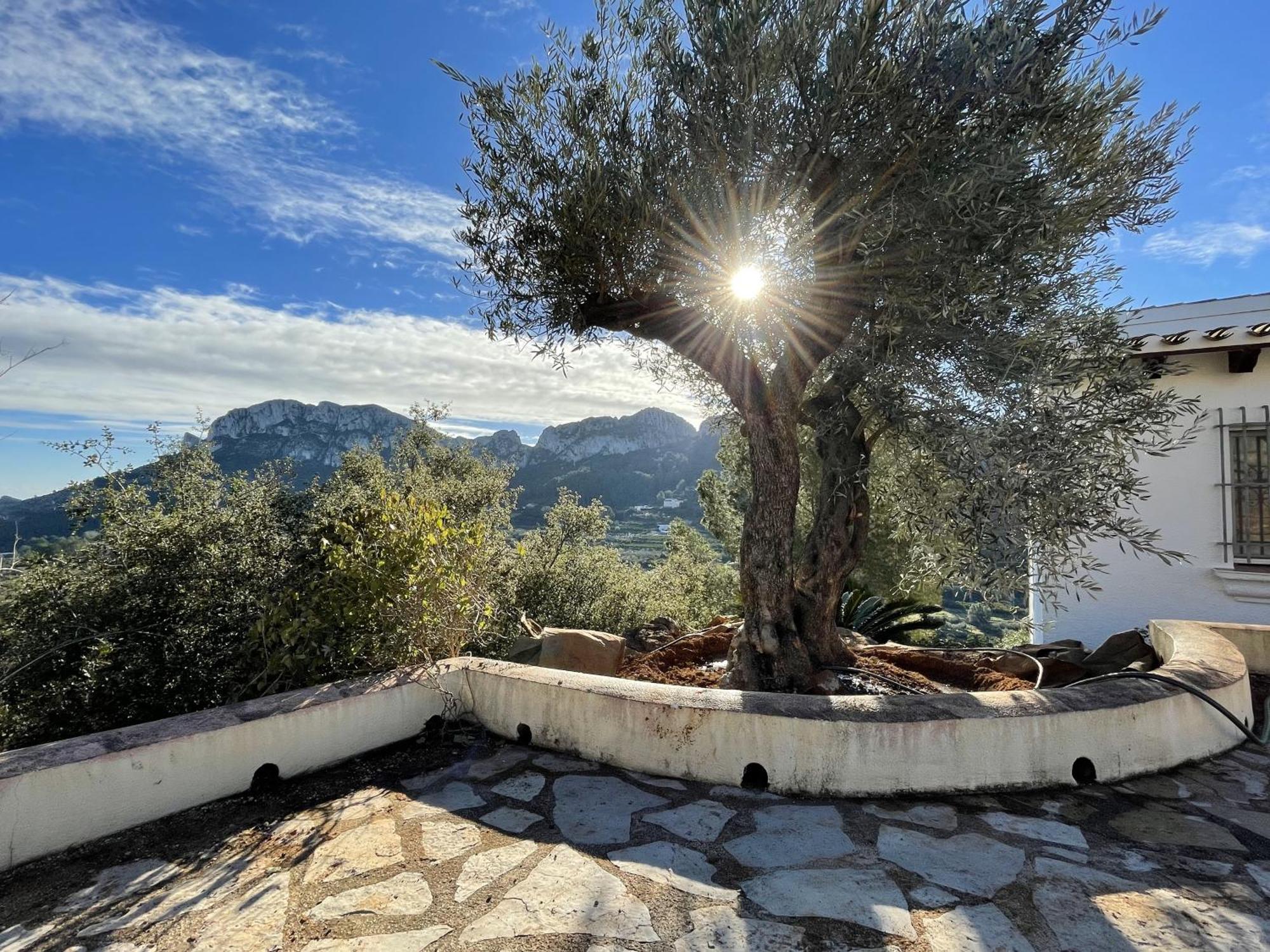 Casa Dalí lot of space, fantastic views&heated pool Monte Pego Exterior foto